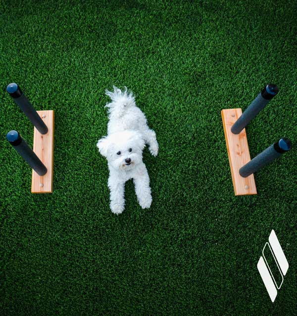 Epic Surf Racks Gift Card image showing a wooden surfboard wall rack on vibrant green grass.  There is a cute white fluffy dog in the middle, with the Epic Diamond Logo on the bottom right hand corner.